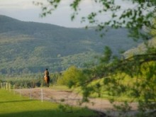 Parc équestre olympique de Bromont