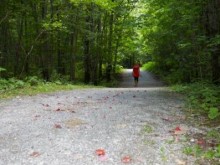 Sentier mont Berthier