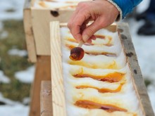 Célébrons le temps des sucres et la Saint-Patrick – L’Érablière Brunelle, Bromont 