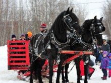 Célébrons le temps des sucres et la Saint-Patrick – L’Érablière Brunelle, Bromont 